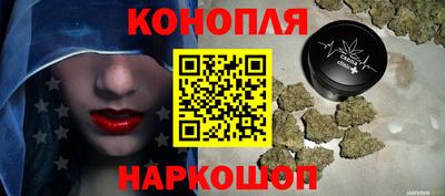 крисы Славянск-на-Кубани