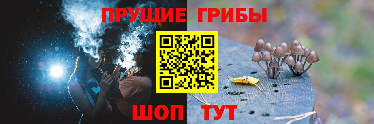 Псилоцибиновые грибы Psilocybine cubensis Новый Уренгой